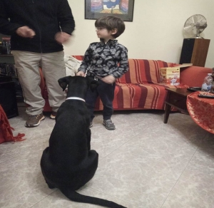 Vivere con un cucciolo di Dobermann: l&#039;educatore cinofilo, primo incontro