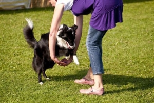 Sport Cinofili - Dog Dance: non serve essere ballerini