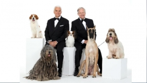 National Dog Show 2019 - Il 28 novembre si eleggerà il miglior cane